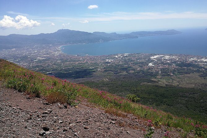 Half day shore excursion to Mount Vesuvius (2 hours) - Why This Tour Works Well