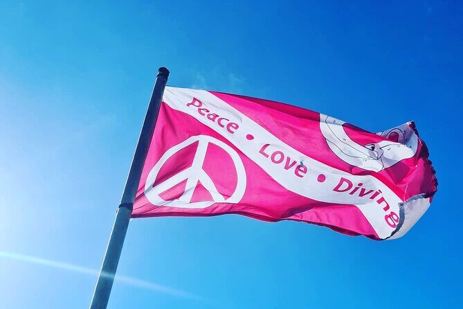 Half-Day Small-Group 2-Tank Scuba Dive in Key Largo (CERTIFIED DIVERS ONLY) - The Experience: What It’s Like to Explore the Florida Keys Reef