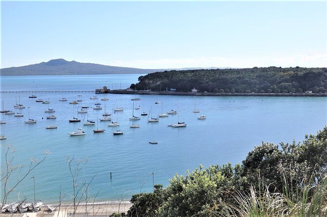 Half-Day: Small Group Auckland Scenic Tour - 4 HOURS - A Deep Dive into the Auckland Scenic Tour