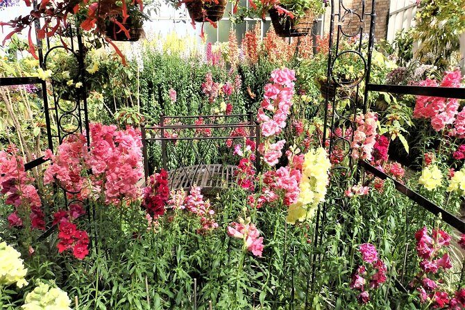 Half-Day: Small Group Auckland Scenic Tour - 4 HOURS - FAQs