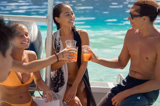 Half Day Small Group Whale Watching - Discover the Magic of Small Group Whale Watching in Moorea