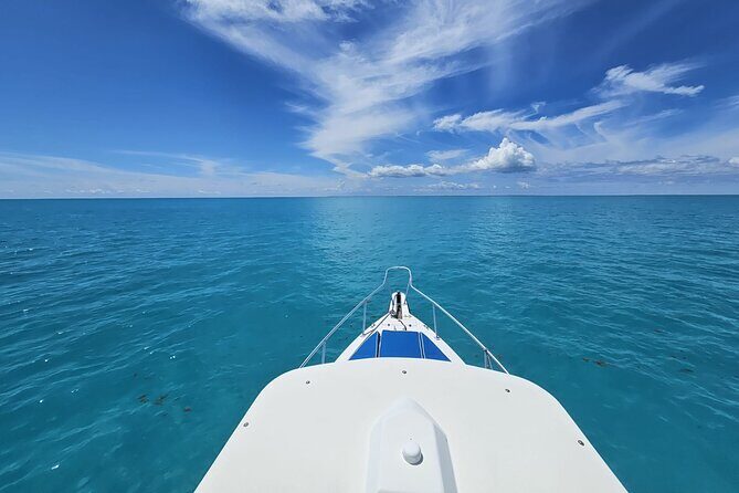 Half-day Snorkeling, Cruising, Iguana Island, Half Moon Bay - Final Thoughts