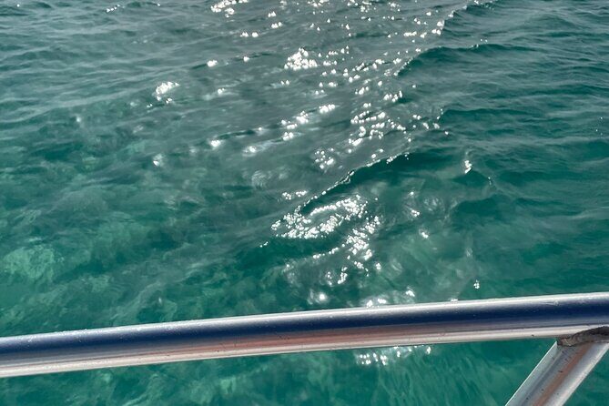 Half-day Snorkeling, Cruising, Iguana Island, Half Moon Bay - FAQs