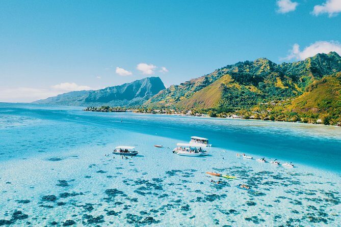 Half Day Snorkeling in Moorea - In-Depth Review: What Makes This Tour Stand Out