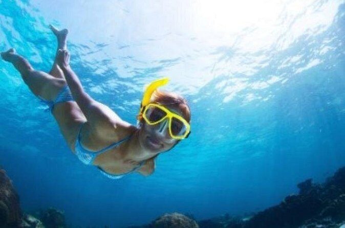 Half Day Snorkeling Tour from Margaritaville - The Snorkeling Experience: What Can You Expect?