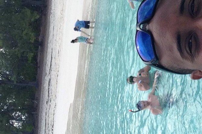 Half Day Snorkeling Tour in the Bahamas - The Experience: A Close-Up Look at What Youll Do