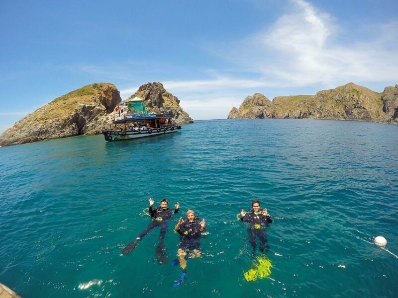 Half-Day Snorkeling trip in Nha Trang with Vietnam Active - Key Points