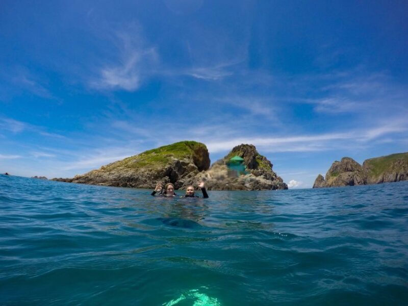 Half-Day Snorkeling trip in Nha Trang with Vietnam Active - Authentic Voices: What Travelers Say