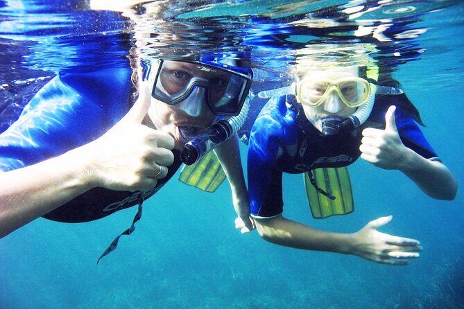 Half Day Snorkelling Experience with a dive boat in Kos Greece - Key Points