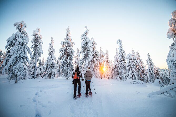 Half Day Snowshoe Hiking Adventure in Levi Lapland - Key Points