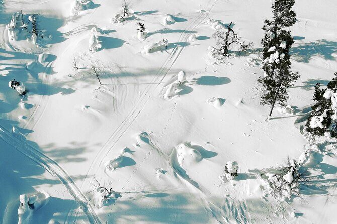 Half Day Snowshoe Hiking Adventure in Levi Lapland - Final Words