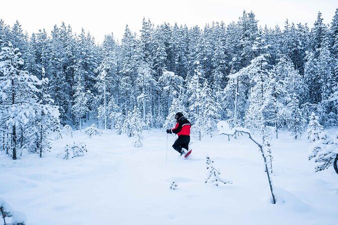 Half Day Snowshoe Hiking Adventure in Levi Lapland - FAQs
