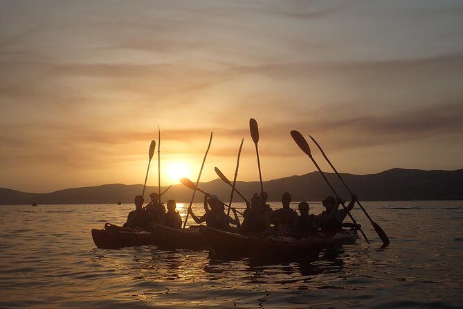 Half-Day Split Sea Kayak Adventure - Price and Value