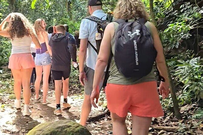 Half-Day St. Kitts Rainforest Hike - Key Points