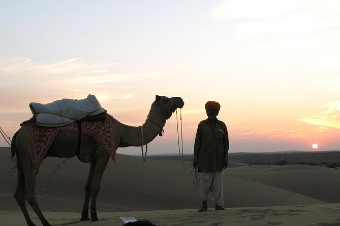 Half Day Sunset Camel ride & Cultural program dance & dinner - The Itinerary in Detail