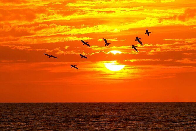 Half Day Sunset Luxury Sailing in Puerto Morelos with Open Bar - FAQ