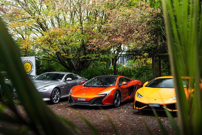 Half-Day Supercar Drive Experience from Auckland - Key Points