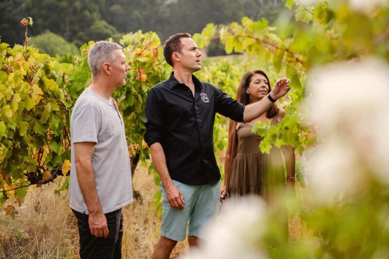 Half-Day Swan Valley Wine Tour with Tastings - From Perth - Discover the Charm of Swan Valley on a Half-Day Wine Tour from Perth