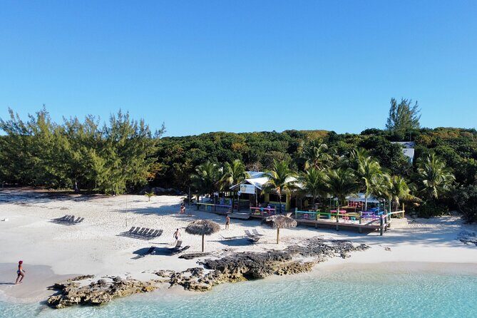 Half Day Swimming Pigs on Rose Island, Snorkeling and Lunch - Authentic Experiences That Matter