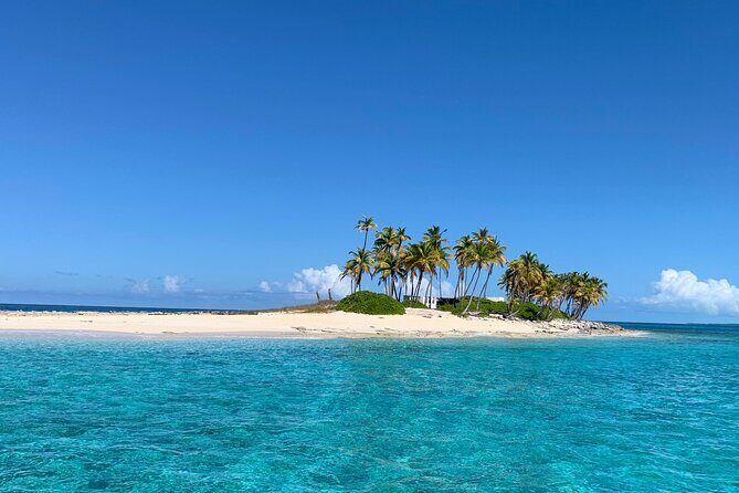 Half Day Swimming Pigs on Rose Island, Snorkeling and Lunch - Pricing & Value Analysis