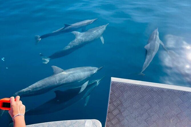 Half day Tahiti Peninsula and Teahupoo boat tour (shared boat) - Final Thoughts: Is It Worth It?