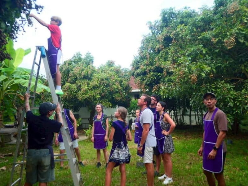 Half-Day Thai Cooking Class on a Local Farm Near Chiang Mai - Who Should Consider This Tour?