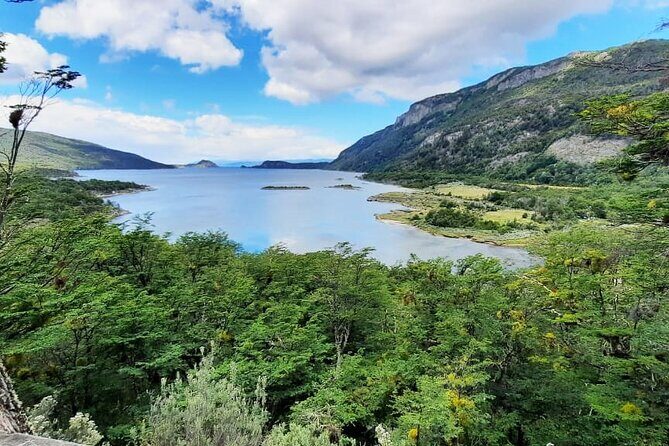 Half-Day Tierra del Fuego National Park with Train - Comprehensive Breakdown of the Experience