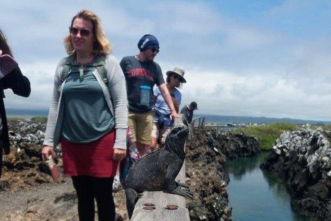 Half Day Tintoreras Tour from Isabela Island - Final Thoughts: Is This Tour Right for You?