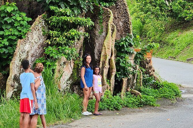 Half Day Tobago Tours with Transfers - An Introduction to the Half Day Tobago Tours with Transfers