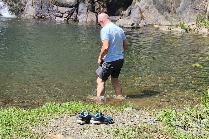 Half Day Tobago Tours with Transfers - Who Will Love This Tour?