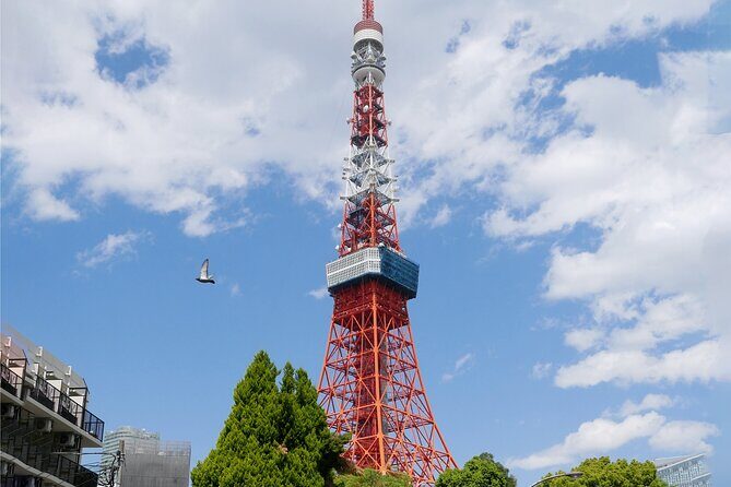 Half day Tokyo Tour by Hato Bus - Who Will Appreciate This Tour?