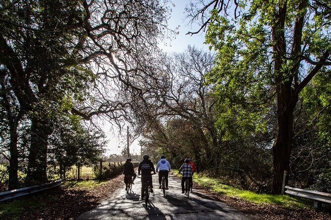 Half Day Tour - An In-Depth Look at the Sonoma Bike Tour Experience
