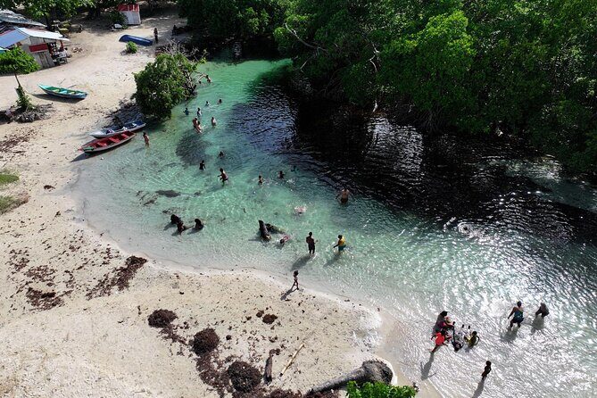 Half Day Tour and Buggie Adventure at Samana - Key Points