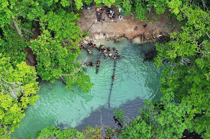 Half Day Tour and Buggie Adventure at Samana - Who Should Consider This Tour?