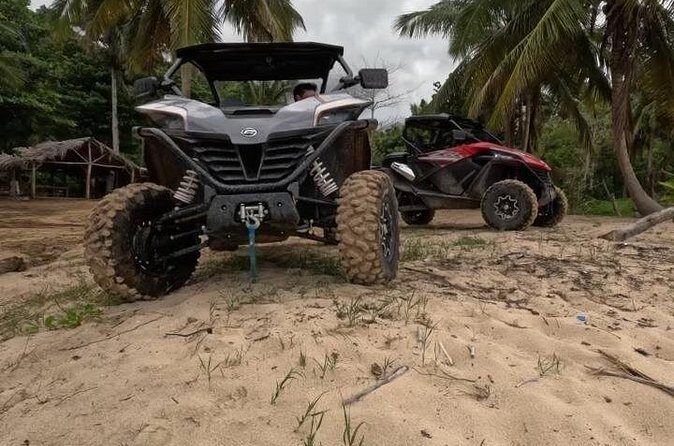 Half Day Tour and Buggie Adventure at Samana - The Sum Up: Is This Adventure Right for You?