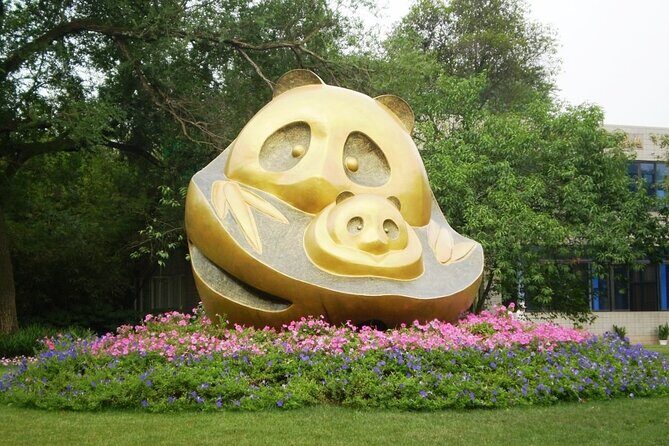 Half-Day Tour at Chengdu Panda Breeding Research Base - An In-Depth Look at the Experience