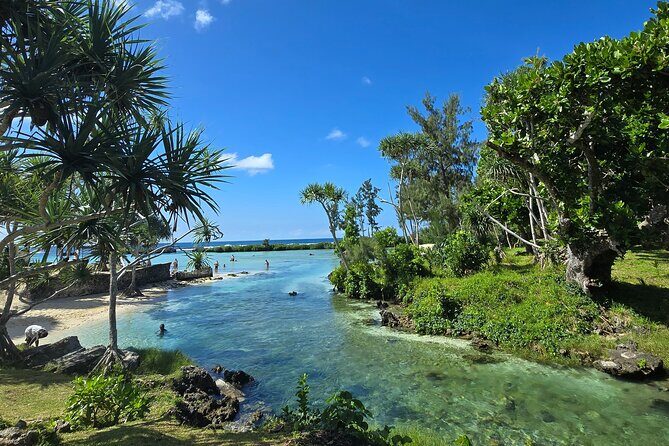 Half Day Tour at Eton Beach and Blue Lagoon with Lunch at Turtles - Frequently Asked Questions
