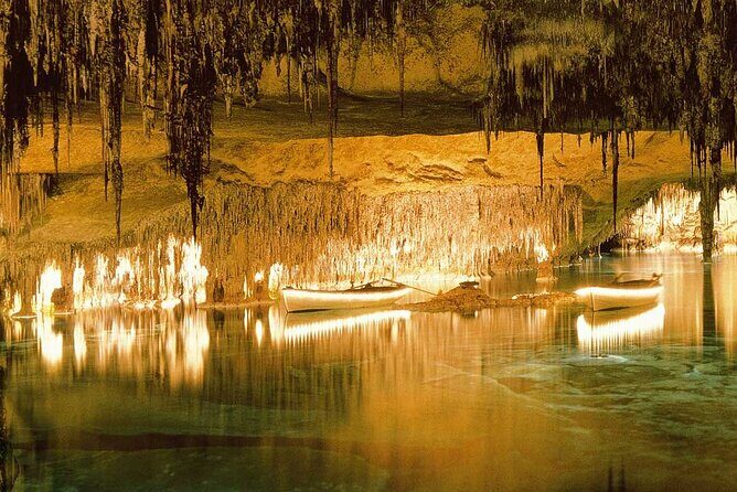 Half Day Tour Bus to the Caves of Drach - Key Points