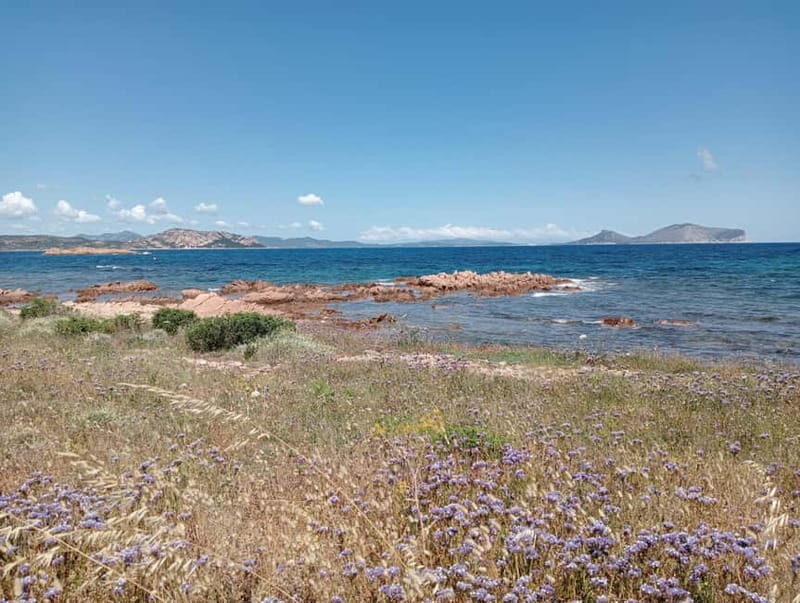 Half-day tour by dinghy in the Tavolara Marine Protected Area - Itinerary Breakdown: What You’ll See and Do