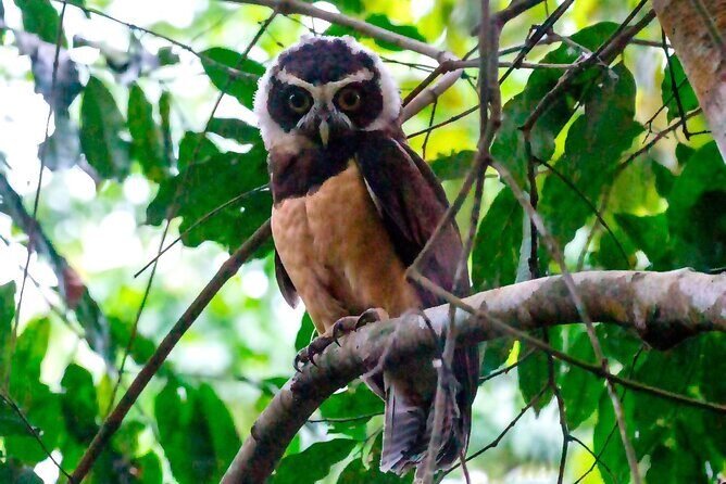Half Day Tour Churute Mangroves and Bird Watching from Guayaquil - Who Should Book This Tour?
