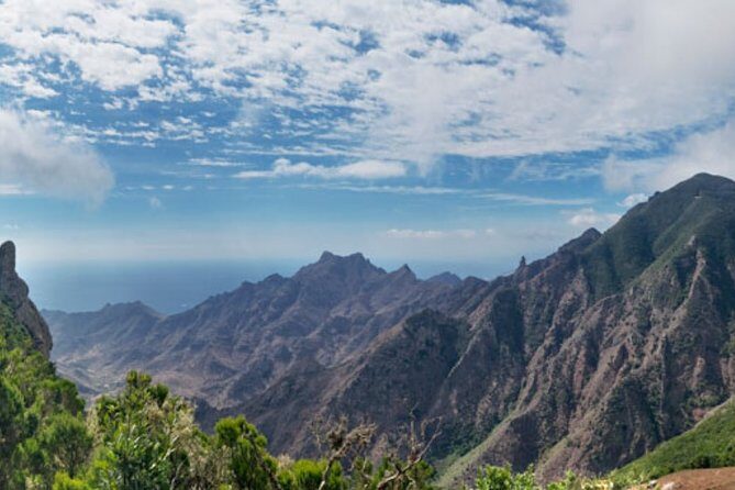 Half Day Tour Discovering Anaga Tenerife - The Logistics: What to Expect