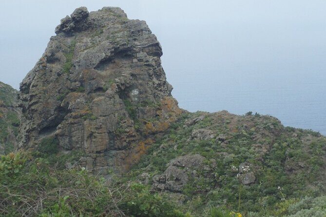 Half Day Tour Discovering Anaga Tenerife - FAQ