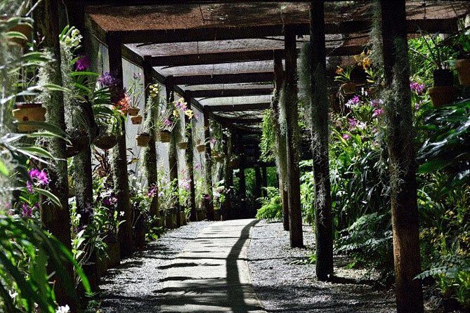 Half Day Tour from Nadi includes Local Markets, Orchid Gardens and Local Village - Shore Excursions - What to Expect and Practical Tips