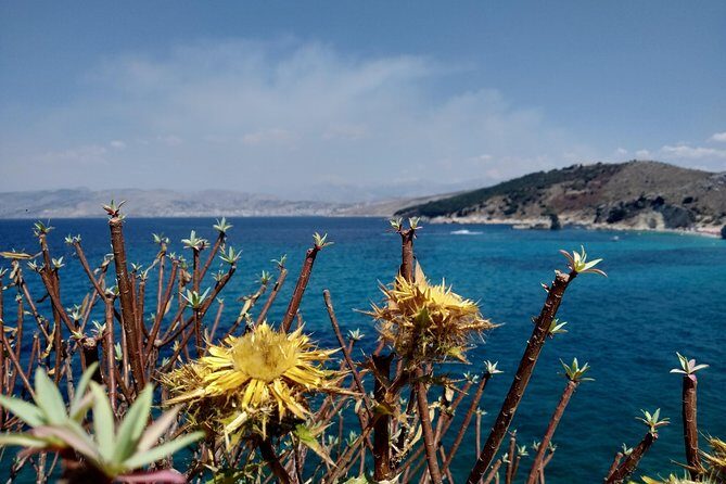 Half-day Tour in South Albania (Blue Eye, Lekursi Castle, Ksamil) - Authentic Traveler Insights and Experiences