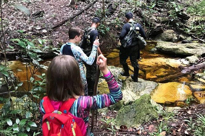 Half Day Tour- Jaguar Jungle Survival - Amazon Rainforest - From Manaus - Deep Dive into the Itinerary