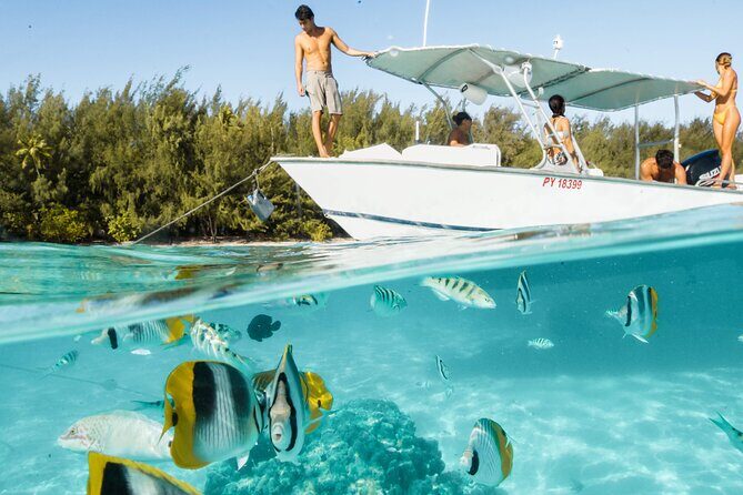Half Day Tour lagoon discovery marine fauna flora small group - Final Thoughts