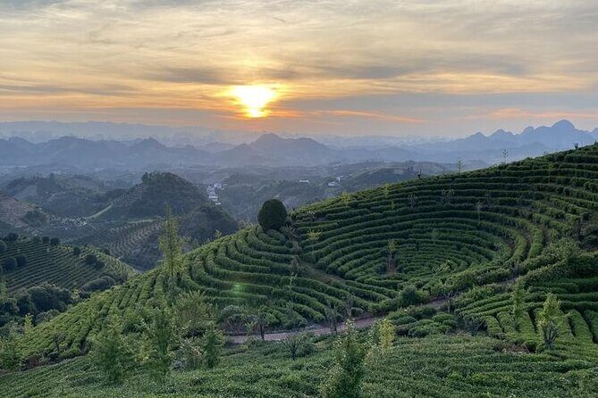 Half-day Tour: Largest Tea Plantation & Amazing Xianggong Hill - Final thoughts: Is this tour right for you?