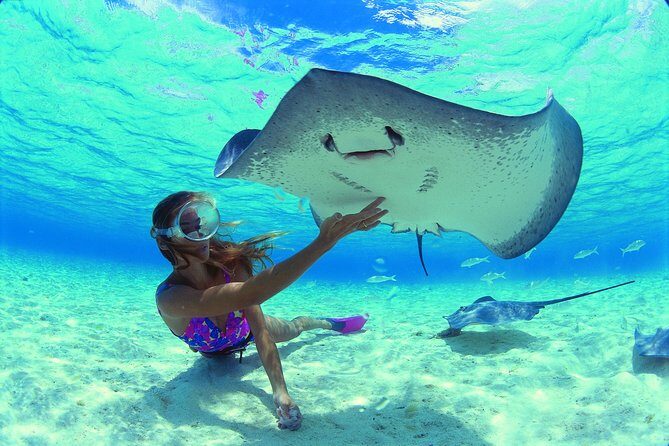 Half Day Tour : Moorea Snorkeling & Sailing on a Catamaran named Taboo - Deep Dive: The Itinerary in Detail