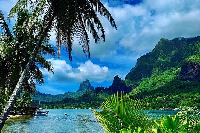 Half-Day Tour of Moorea Island in a Small Group - Discover Moorea in a Half-Day Small-Group Tour