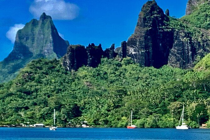 Half-Day Tour of Moorea Island in a Small Group - Key Points